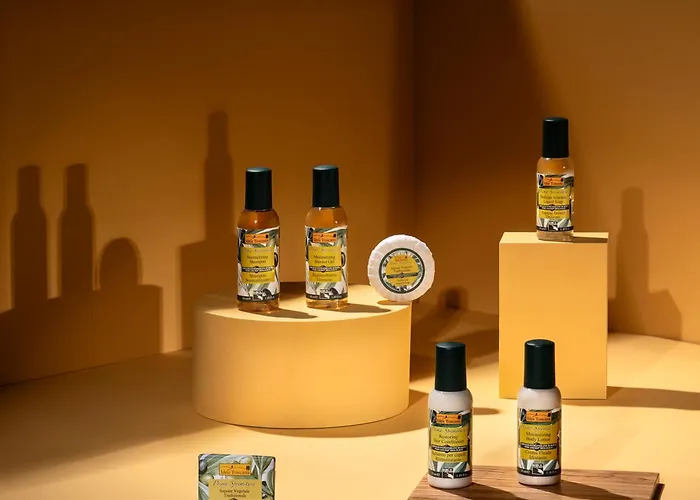 Ξενοδοχείο Palazzo Ravizza 3*