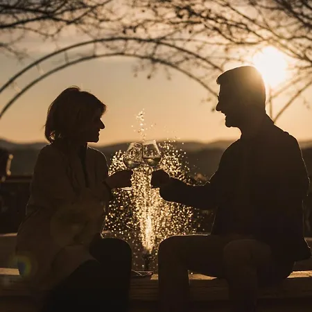 拉维佐宫酒店 酒店 锡耶纳